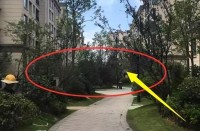 一樓到底哪里差？住進(jìn)去后來聊聊感受
