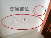 瓷磚反堿補(bǔ)救徹底解決方法？清理瓷磚的技巧？
