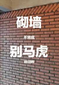 砌墻千萬(wàn)別聽泥水師傅的！